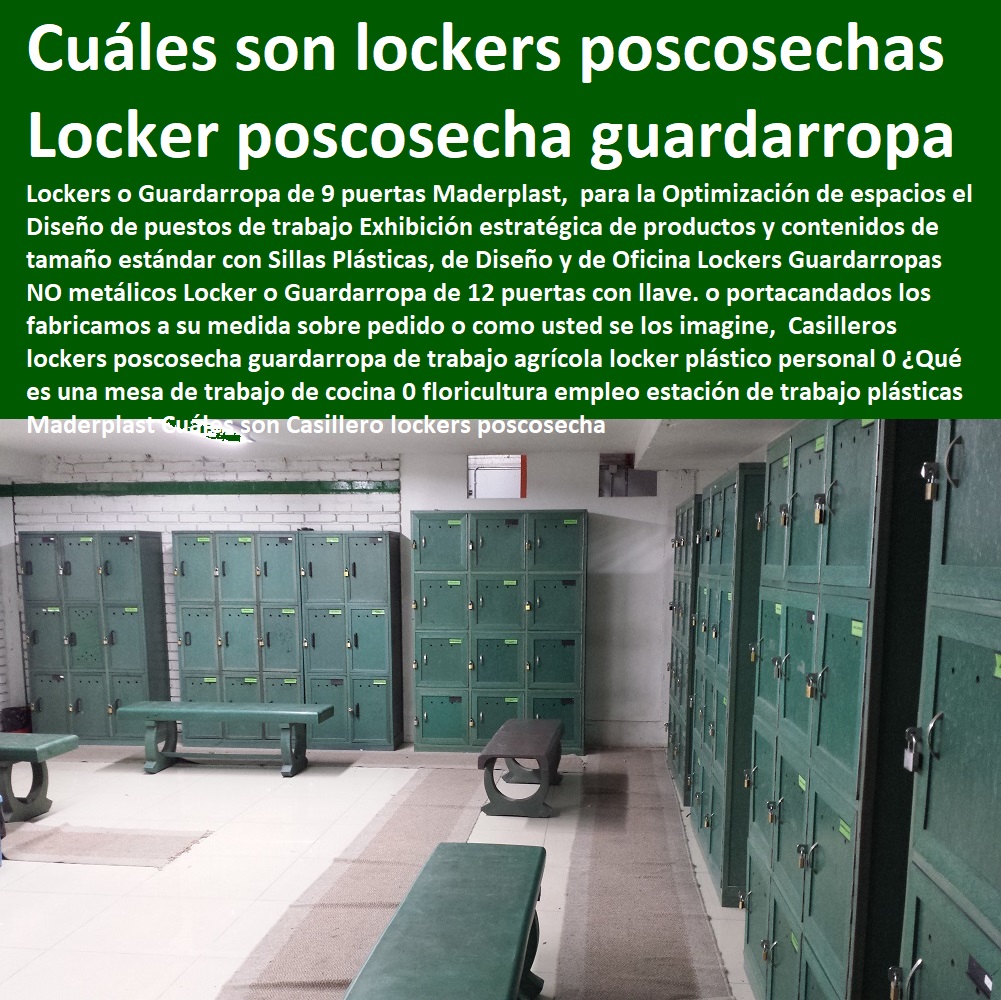 Casilleros lockers poscosecha guardarropa de trabajo agrícola locker plástico personal 0 ¿Qué es una mesa de trabajo de cocina 0 floricultura empleo estación de trabajo plásticas Maderplast Cuáles son Casillero lockers poscosecha Casilleros lockers poscosecha CULTIVOS TECNIFICADOS, INVERNADEROS, Semilleros, Bancos De Siembra, Hidroponía, Agricultura, Cosecha, Poscosecha, Tutores Para Flores, Cable Vía Bananas Aromáticas, guardarropa de trabajo agrícola locker plástico personal 0 ¿Qué es una mesa de trabajo de cocina 0 floricultura empleo estación de trabajo plásticas Maderplast Cuáles son Casillero lockers poscosecha